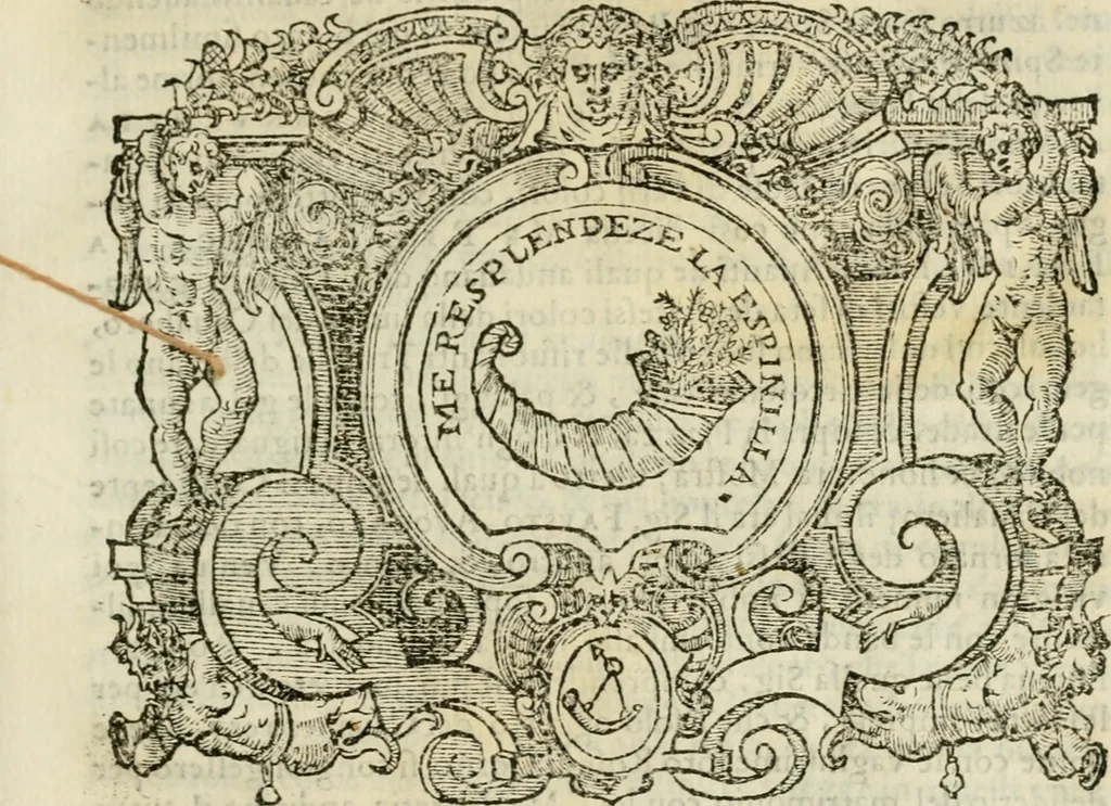 An illustration from Dialogo della giostra fatta in Trivigi l'anno MDXCVII, 1598, leaf 14