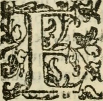 An illustration from Dialogo della giostra fatta in Trivigi l'anno MDXCVII, 1598, leaf 14