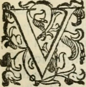 An illustration from Dialogo della giostra fatta in Trivigi l'anno MDXCVII, 1598, leaf 144