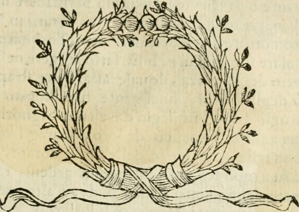 An illustration from Dialogo della giostra fatta in Trivigi l'anno MDXCVII, 1598, leaf 148