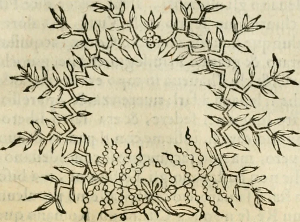 An illustration from Dialogo della giostra fatta in Trivigi l'anno MDXCVII, 1598, leaf 150