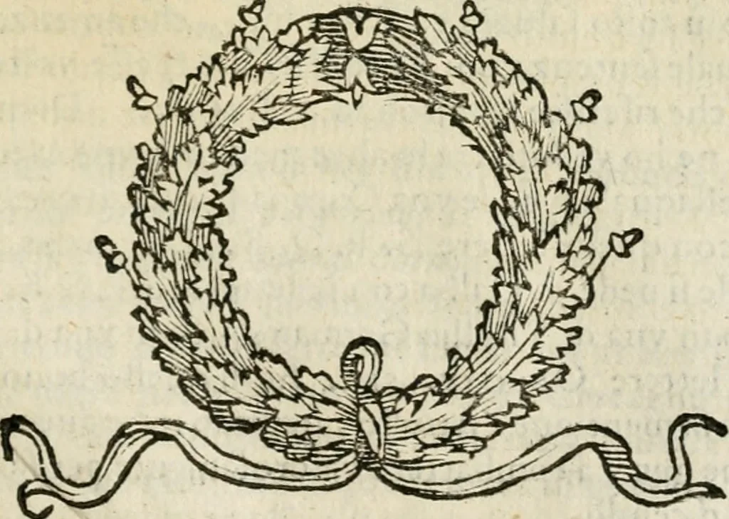 An illustration from Dialogo della giostra fatta in Trivigi l'anno MDXCVII, 1598, leaf 150