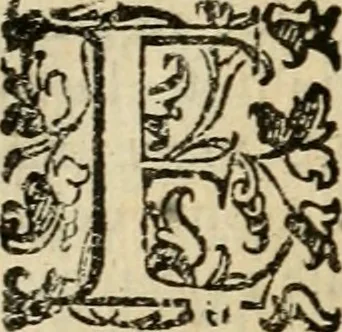 An illustration from Dialogo della giostra fatta in Trivigi l'anno MDXCVII, 1598, leaf 165