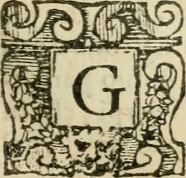 An illustration from Dialogo della giostra fatta in Trivigi l'anno MDXCVII, 1598, leaf 26