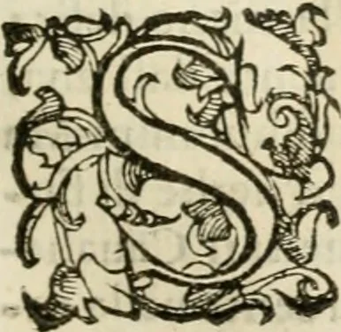 An illustration from Dialogo della giostra fatta in Trivigi l'anno MDXCVII, 1598, leaf 36