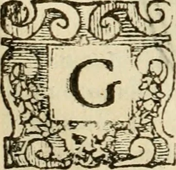 An illustration from Dialogo della giostra fatta in Trivigi l'anno MDXCVII, 1598, leaf 63