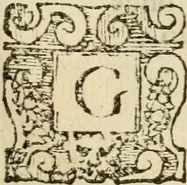 An illustration from Dialogo della giostra fatta in Trivigi l'anno MDXCVII, 1598, leaf 77