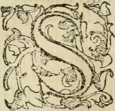 An illustration from Dialogo della giostra fatta in Trivigi l'anno MDXCVII, 1598, leaf 87