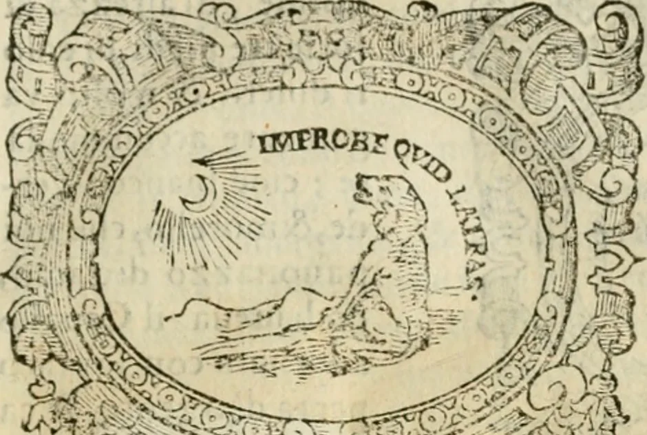 An illustration from Dialogo della giostra fatta in Trivigi l'anno MDXCVII, 1598, leaf 90