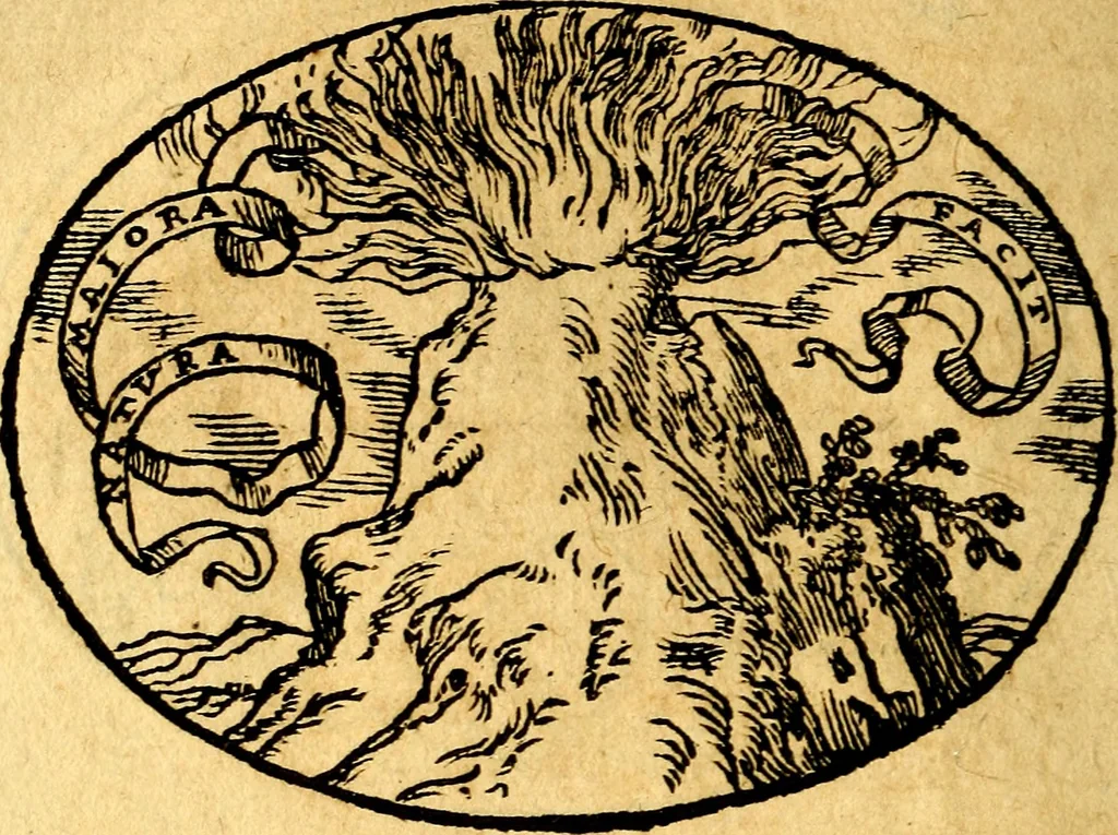 An illustration from Dialogo dell'imprese militari et amorose, 1574, leaf 113