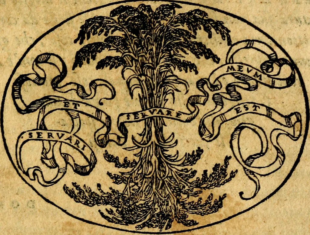 An illustration from Dialogo dell'imprese militari et amorose, 1574, leaf 116