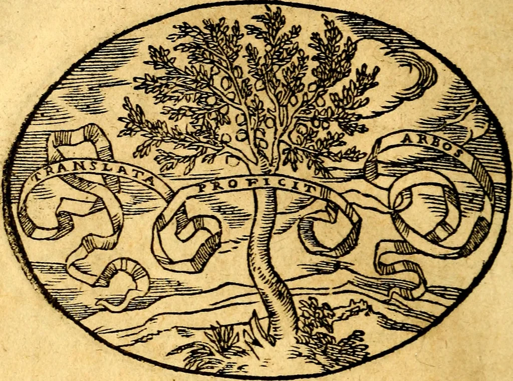 An illustration from Dialogo dell'imprese militari et amorose, 1574, leaf 163