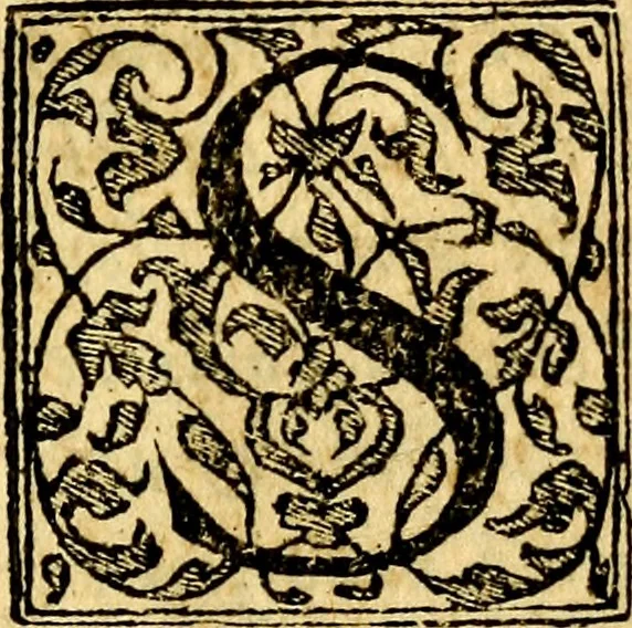 An illustration from Dialogo dell'imprese militari et amorose, 1574, leaf 174