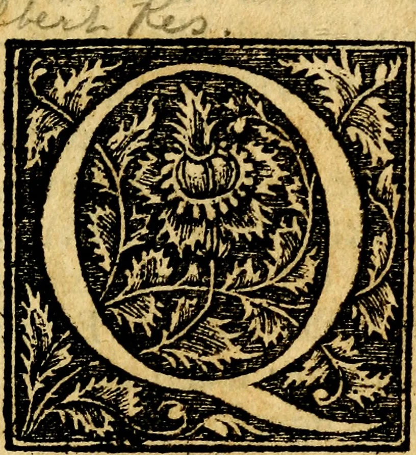 An illustration from Dialogo dell'imprese militari et amorose, 1574, leaf 6