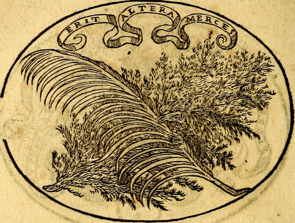 An illustration from Dialogo dell'imprese militari et amorose, 1574, leaf 71