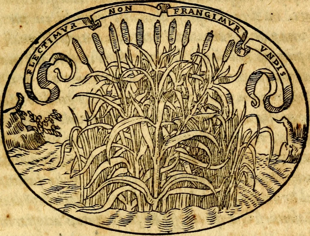 An illustration from Dialogo dell'imprese militari et amorose, 1574, leaf 76