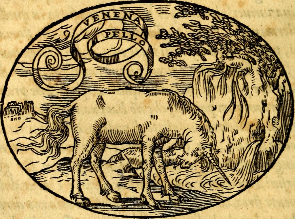 An illustration from Dialogo dell'imprese militari et amorose, 1574, leaf 77