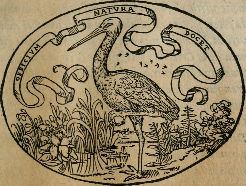 An illustration from Dialogo dell'imprese militari et amorose, 1574, leaf 108