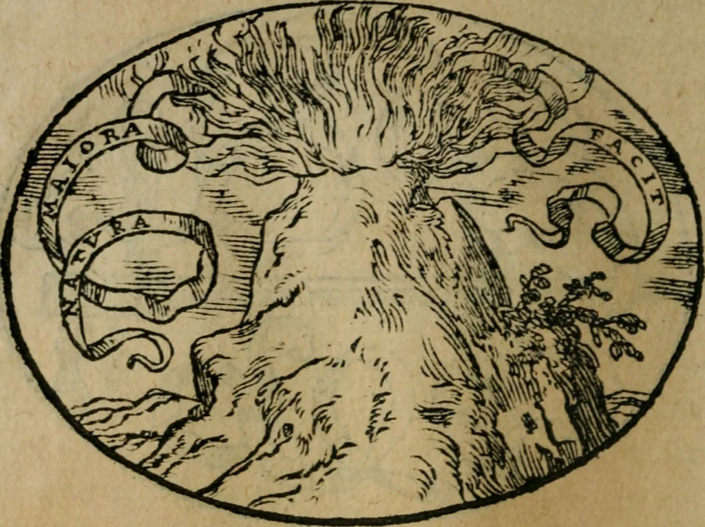 An illustration from Dialogo dell'imprese militari et amorose, 1574, leaf 113