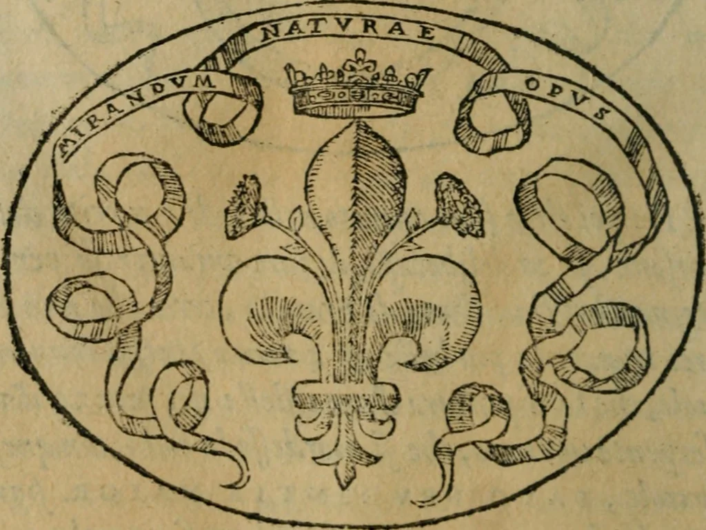 An illustration from Dialogo dell'imprese militari et amorose, 1574, leaf 181