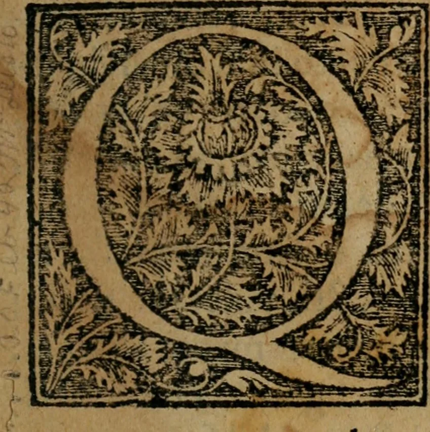 An illustration from Dialogo dell'imprese militari et amorose, 1574, leaf 6