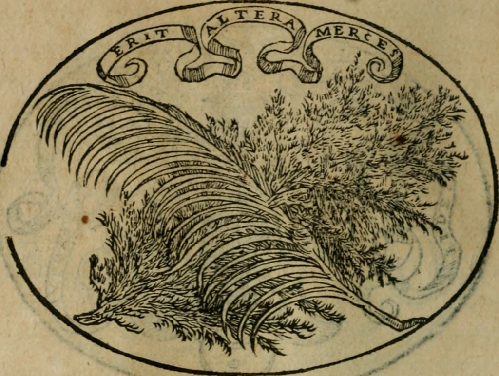 An illustration from Dialogo dell'imprese militari et amorose, 1574, leaf 71