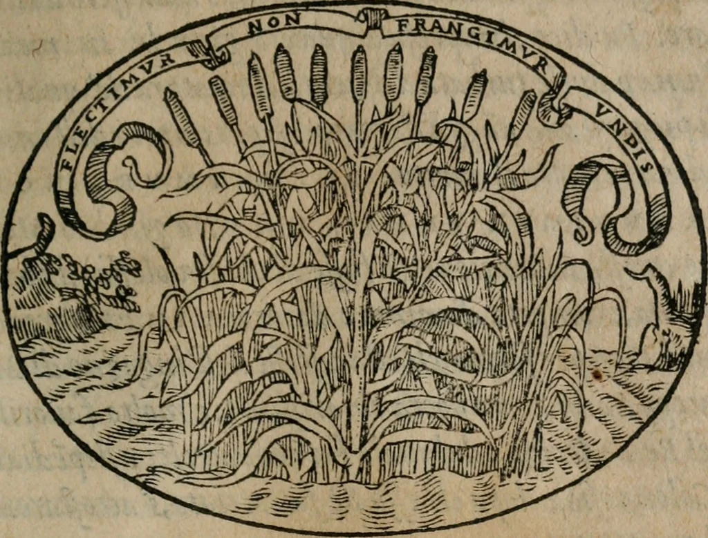 An illustration from Dialogo dell'imprese militari et amorose, 1574, leaf 76