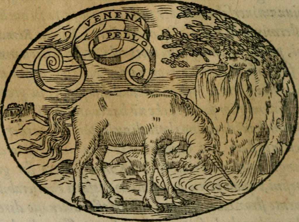 An illustration from Dialogo dell'imprese militari et amorose, 1574, leaf 77