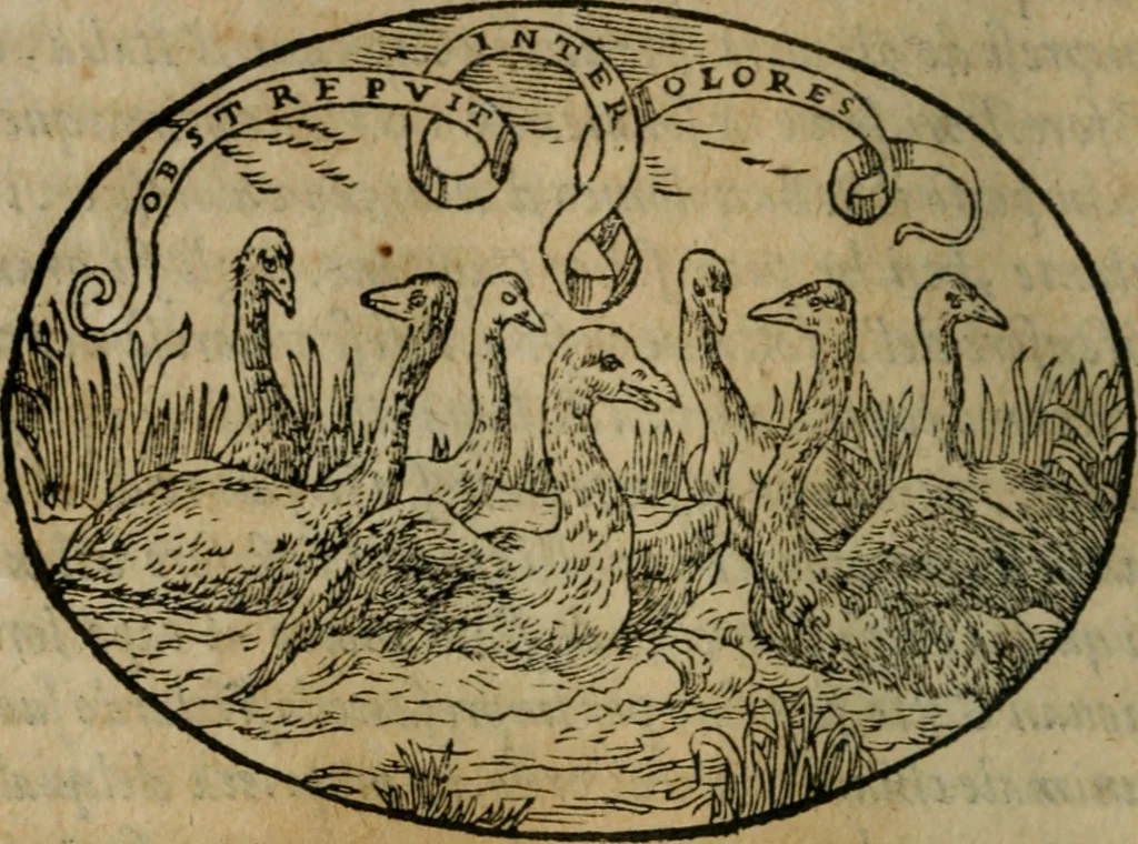 An illustration from Dialogo dell'imprese militari et amorose, 1574, leaf 79