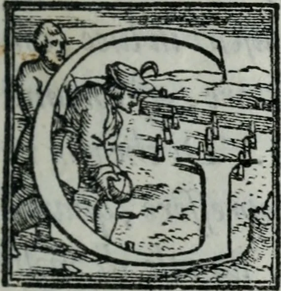 An illustration from Dialogo dell'imprese militari et amorose, 1557, leaf 6