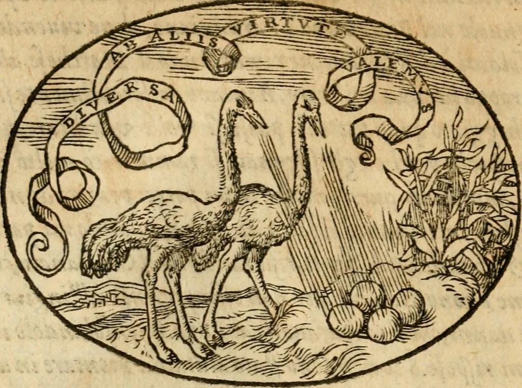 An illustration from Dialogo dell'imprese militari et amorose di Monsignor Giouio, vescouo di Nocera : et del S. Gabriel Symeoni fiorentino : con vn ragionamento di M. Lodouico Domenichi, nel medesimo soggetto : con la tauola, 1574, leaf 101
