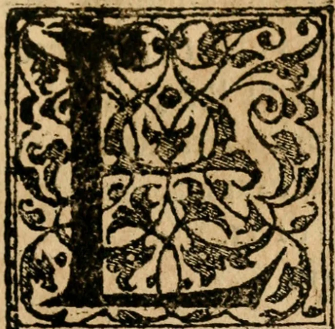 An illustration from Dialogo dell'imprese militari et amorose di Monsignor Giouio, vescouo di Nocera : et del S. Gabriel Symeoni fiorentino : con vn ragionamento di M. Lodouico Domenichi, nel medesimo soggetto : con la tauola, 1574, leaf 174