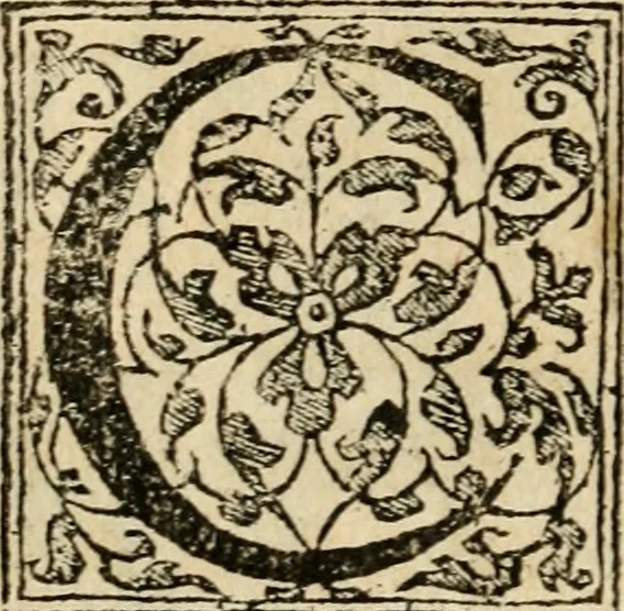 An illustration from Dialogo dell'imprese militari et amorose di Monsignor Giouio, vescouo di Nocera : et del S. Gabriel Symeoni fiorentino : con vn ragionamento di M. Lodouico Domenichi, nel medesimo soggetto : con la tauola, 1574, leaf 221
