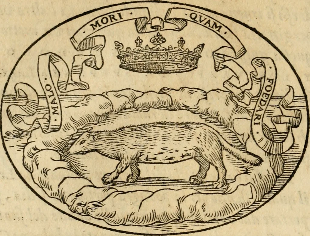 An illustration from Dialogo dell'imprese militari et amorose di Monsignor Giouio, vescouo di Nocera : et del S. Gabriel Symeoni fiorentino : con vn ragionamento di M. Lodouico Domenichi, nel medesimo soggetto : con la tauola, 1574, leaf 41