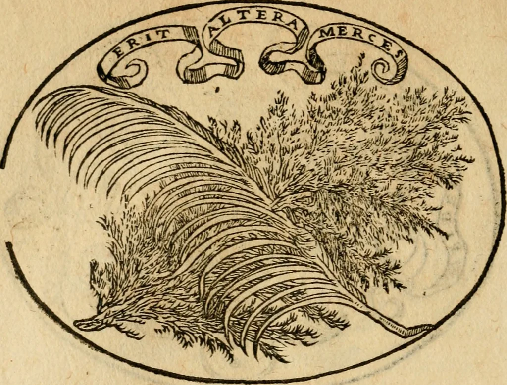 An illustration from Dialogo dell'imprese militari et amorose di Monsignor Giouio, vescouo di Nocera : et del S. Gabriel Symeoni fiorentino : con vn ragionamento di M. Lodouico Domenichi, nel medesimo soggetto : con la tauola, 1574, leaf 73