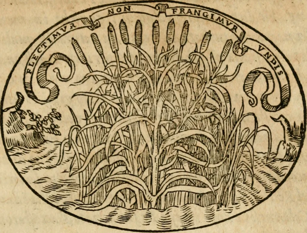An illustration from Dialogo dell'imprese militari et amorose di Monsignor Giouio, vescouo di Nocera : et del S. Gabriel Symeoni fiorentino : con vn ragionamento di M. Lodouico Domenichi, nel medesimo soggetto : con la tauola, 1574, leaf 78