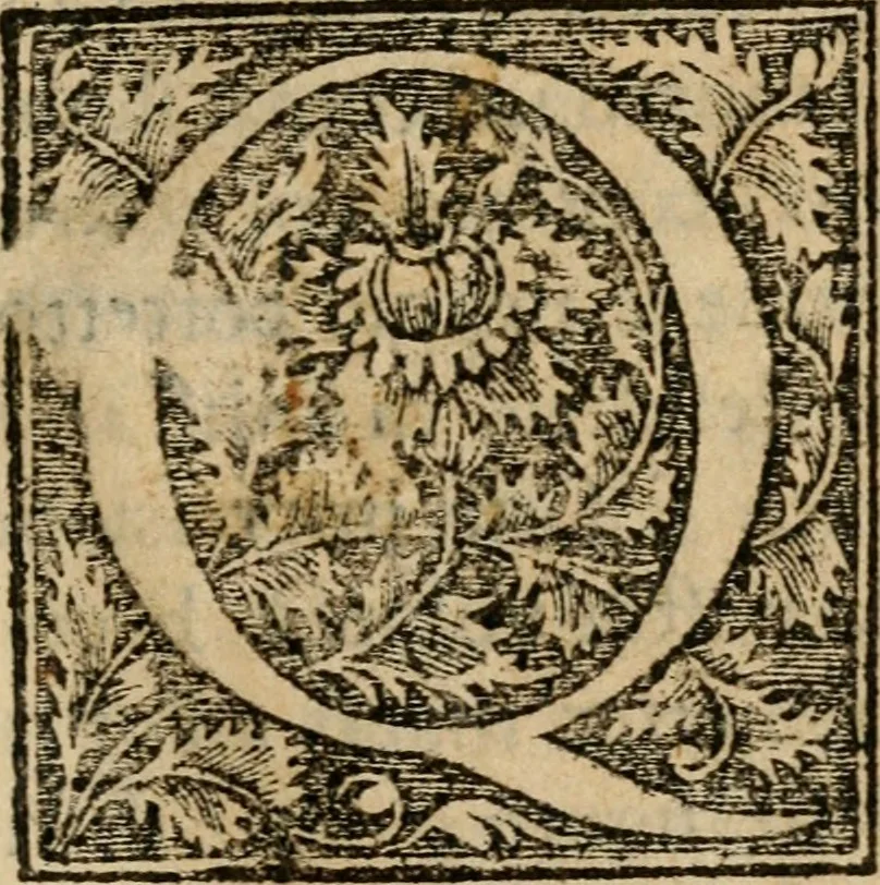 An illustration from Dialogo dell'imprese militari et amorose di Monsignor Giouio, vescouo di Nocera : et del S. Gabriel Symeoni fiorentino : con vn ragionamento di M. Lodouico Domenichi, nel medesimo soggetto : con la tauola, 1574, leaf 8