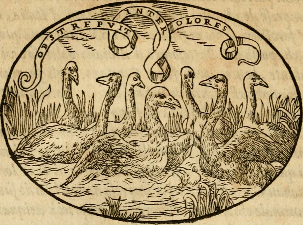 An illustration from Dialogo dell'imprese militari et amorose di Monsignor Giouio, vescouo di Nocera : et del S. Gabriel Symeoni fiorentino : con vn ragionamento di M. Lodouico Domenichi, nel medesimo soggetto : con la tauola, 1574, leaf 81