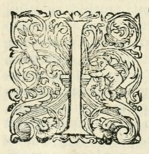 An illustration from Dialogo dell'imprese, 1594, leaf 7