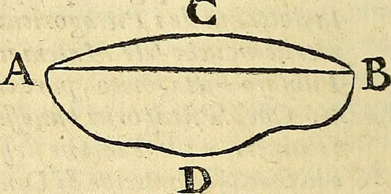 An illustration from Dialogo di Galileo Galilei Linceo matematico sopraordinario dello studio di Pisa. E filosofo, e matematico primario del serenissimo gr. duca di Toscana. Doue ne i congressi di quattro giornate si discorre sopra i due massimi sistemi del mondo tolemaico, e copernicano; : proponendo indeterminatamente le ragioni filosofiche, e naturali tanto per l'vna, quanto per l'altra parte, 1632, leaf 19