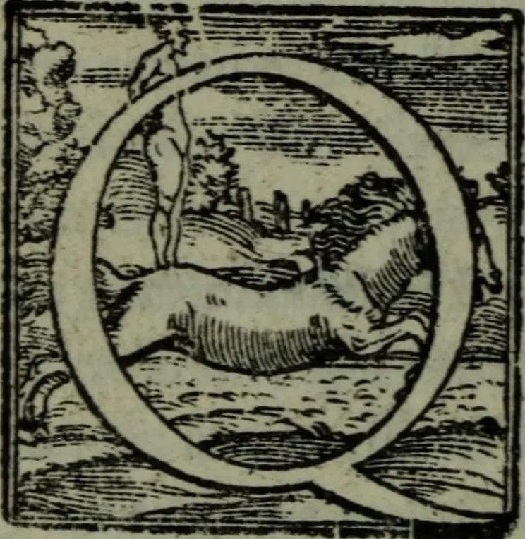 An illustration from Dialogo di M. Lodovico Dolce della institution delle donne : da lui stesso in questa quarta impressione riueduto, e di piu utili cose ampliato, & con la tauola delle cose piu degne di memoria, 1560, leaf 133