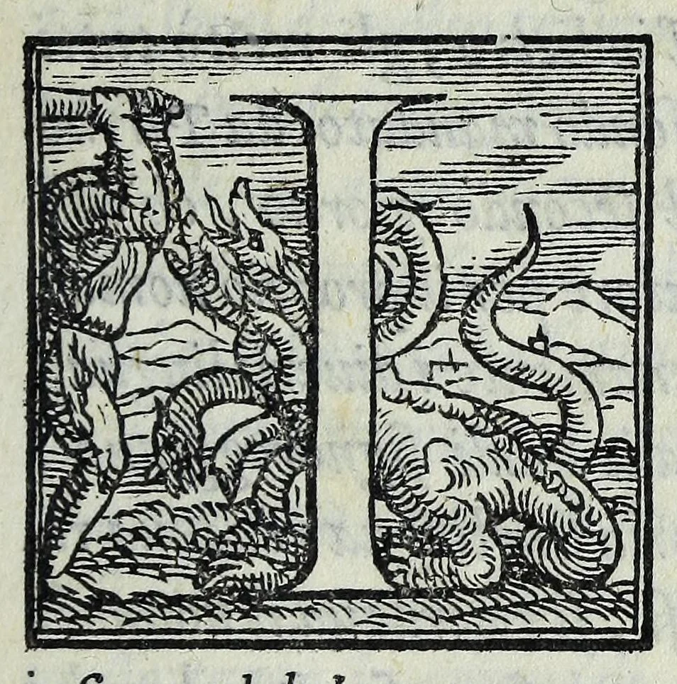 An illustration from Dialogo di M. Lodovico Dolce, nel quale si ragiona del modo di accrescere e conseruar la memoria, 1562, leaf 15