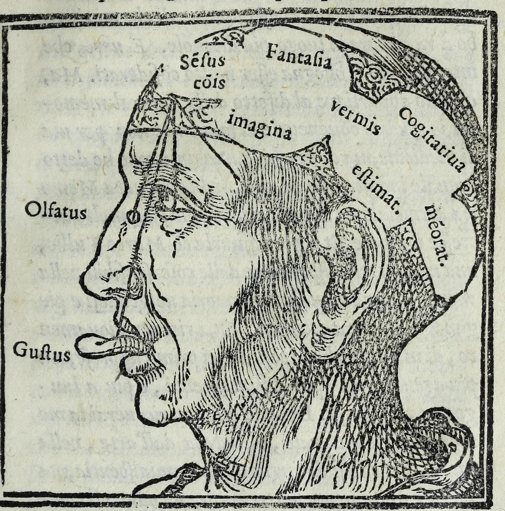 An illustration from Dialogo di M. Lodovico Dolce, nel quale si ragiona del modo di accrescere e conseruar la memoria, 1562, leaf 23