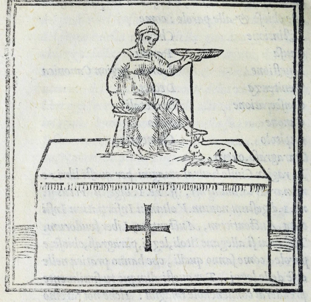 An illustration from Dialogo di M. Lodovico Dolce, nel quale si ragiona del modo di accrescere e conseruar la memoria, 1562, leaf 234