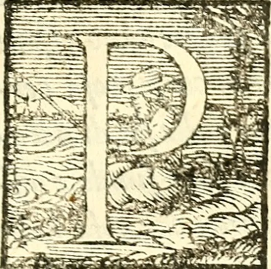 An illustration from Dialogo intitolato La strega, overgo de gli inganni de demoni; dell' ... Giouan Francesco Pico conte de la Mirandola, 1555, leaf 8
