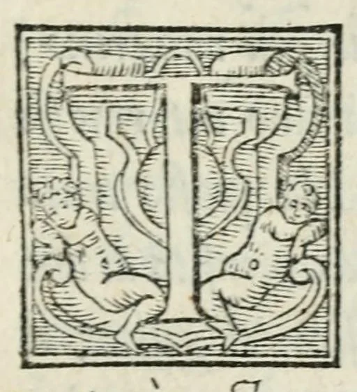 An illustration from Dialogo dell'imprese militari et amorose, 1555, leaf 13