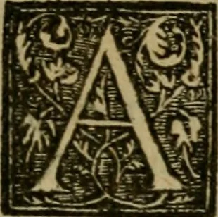 An illustration from Dialogo pio et specvlativo, con diuerse sentenze latine & volgari, 1560, leaf 246