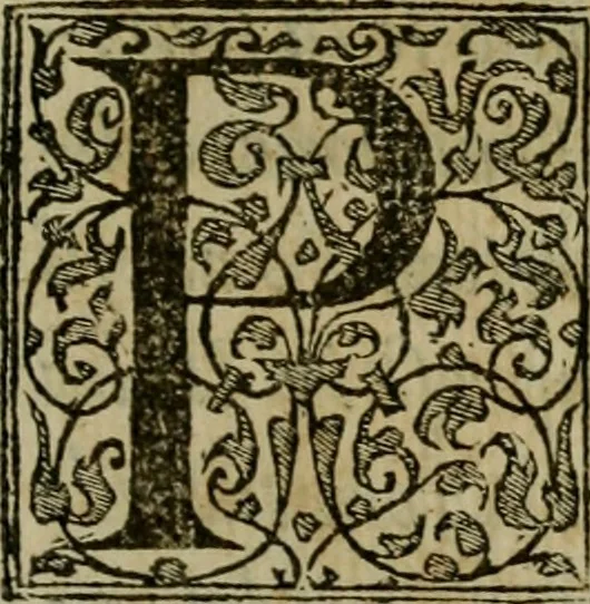 An illustration from Dialogo pio et specvlativo, con diuerse sentenze latine & volgari, 1560, leaf 8