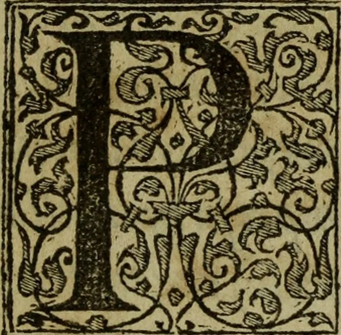 An illustration from Dialogo Pio Et Specvlativo : Con diuerse sentenze Latine & volgari, 1560, leaf 10