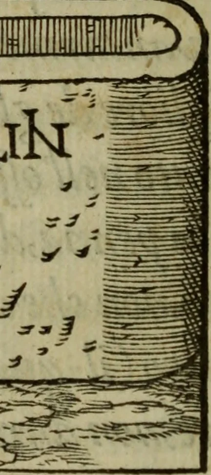 An illustration from Dialogo Pio Et Specvlativo : Con diuerse sentenze Latine & volgari, 1560, leaf 187